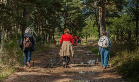 Wahl „Wanderweg des Jahres 2025“ in der Nordeifel“